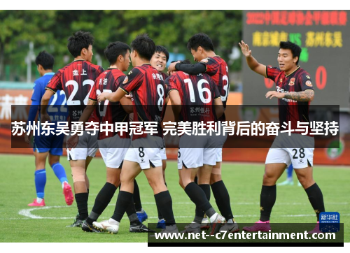苏州东吴勇夺中甲冠军 完美胜利背后的奋斗与坚持