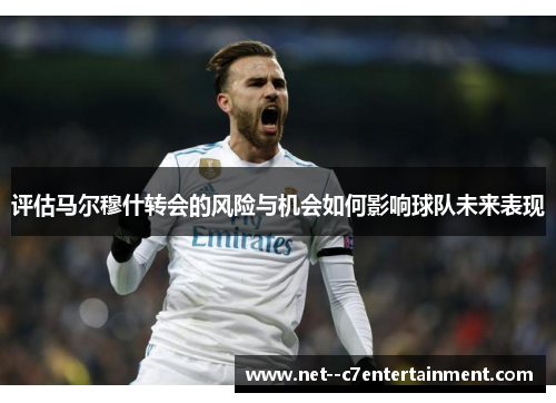 评估马尔穆什转会的风险与机会如何影响球队未来表现