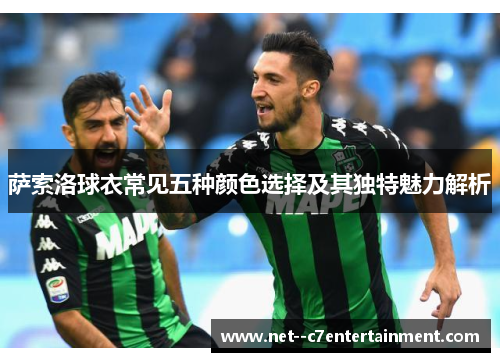 萨索洛球衣常见五种颜色选择及其独特魅力解析