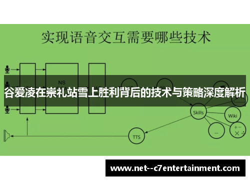 谷爱凌在崇礼站雪上胜利背后的技术与策略深度解析 谷爱凌在崇礼站雪上胜利背后的技术与策略深度解析