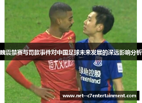 魏震禁赛与罚款事件对中国足球未来发展的深远影响分析